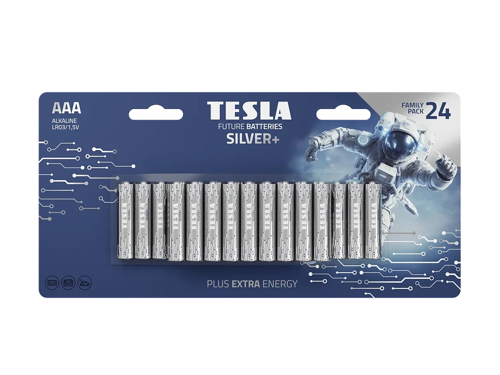 TESLA-SILVER-AAA 24
