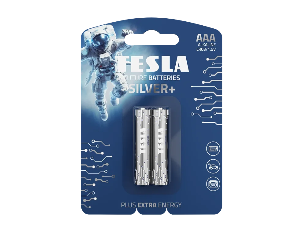 TESLA-SILVER-AAA 2