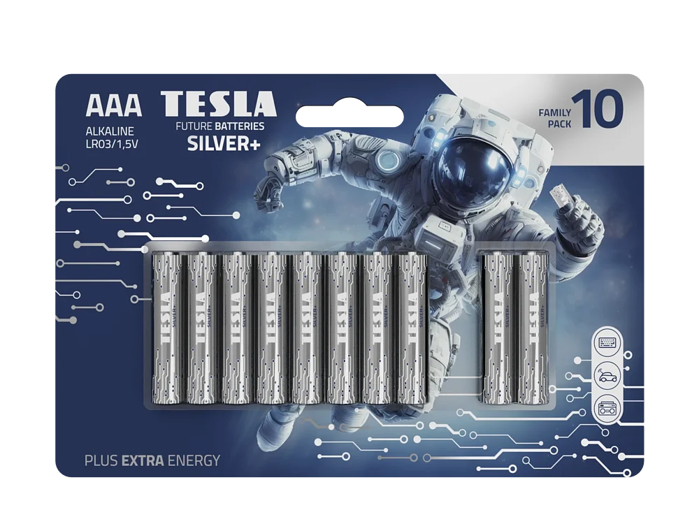 TESLA-SILVER-AAA 10