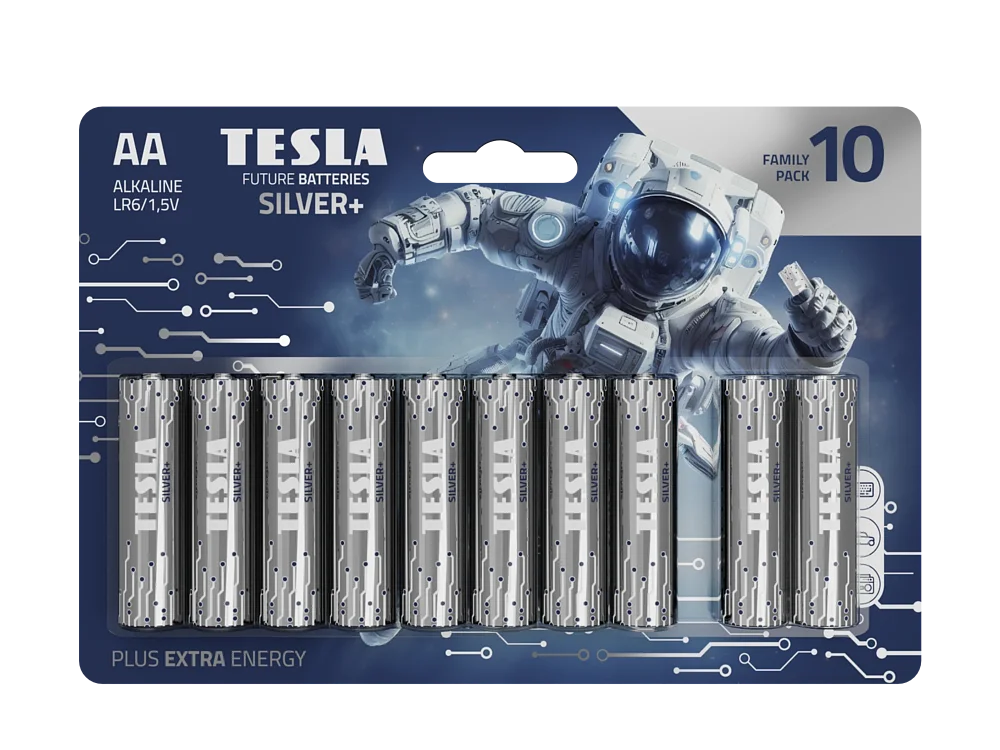 TESLA-SILVER-AA 10