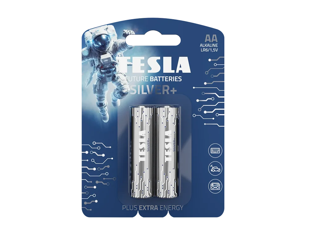 TESLA-SILVER-AA 2