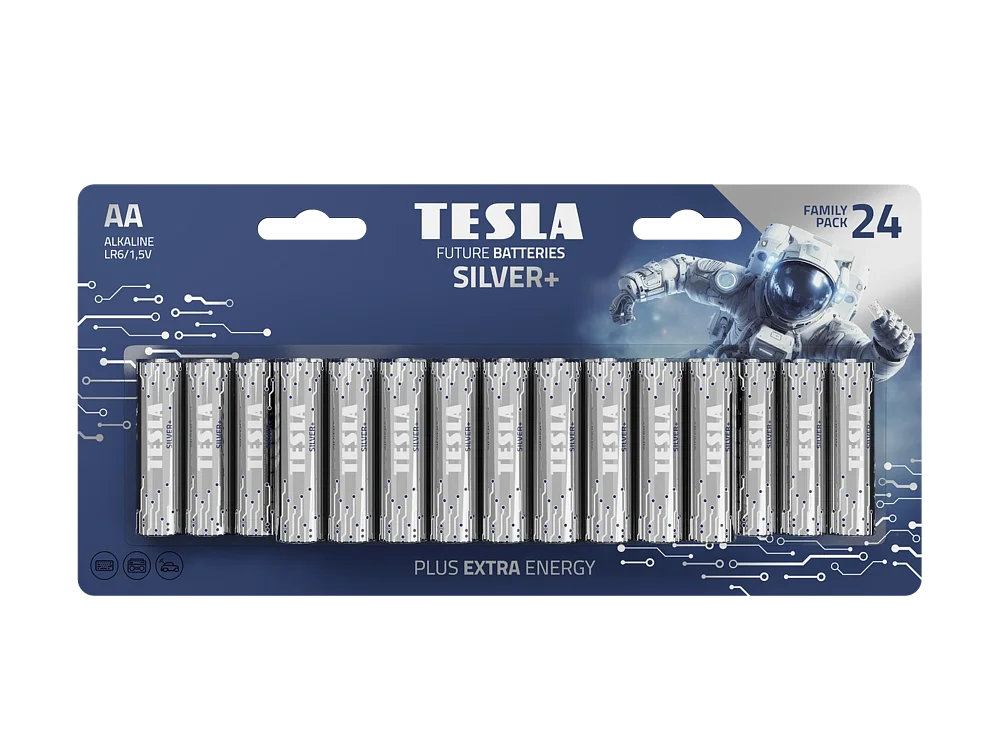 TESLA-SILVER-AA 24